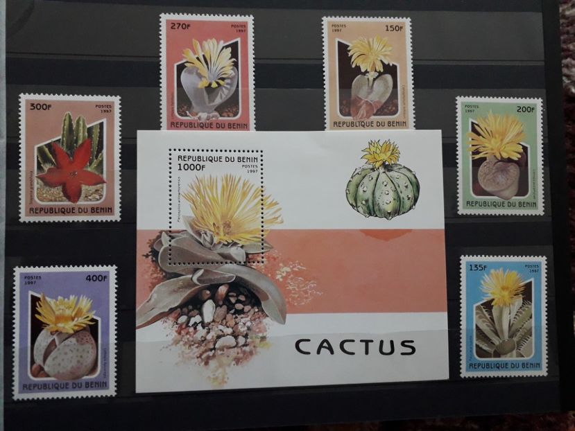  - Filatelie tematica CACTUSI