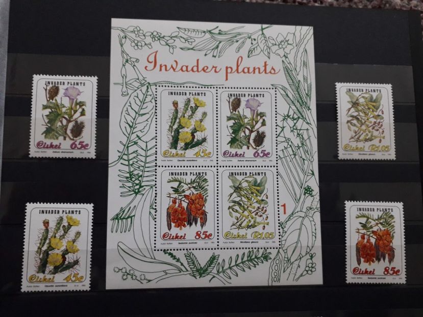  - Filatelie tematica CACTUSI