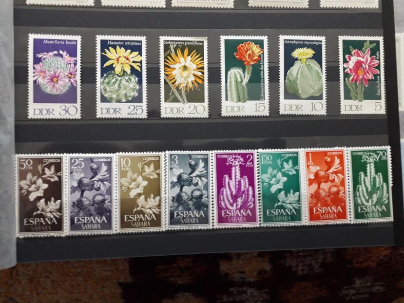  - Filatelie tematica CACTUSI