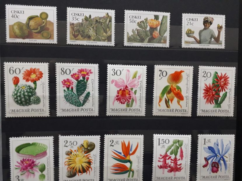  - Filatelie tematica CACTUSI