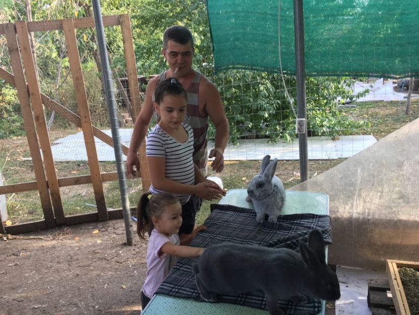 DBC3846A-09A2-4FC1-82A9-83D0E1E54307 - 9 - Vizita crescătorie Bodo Elek si Zsold Istvan Tg Mures