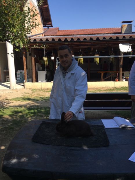 E0B2EEAC-A576-4C85-BCA3-FC2B764CE6D8 - 10 - Testare arbitrii Râșnov 13-14-09-2019