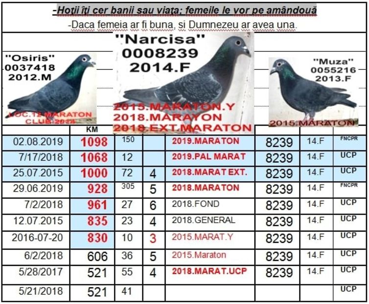2014.8239=2019.an NARCISAA+ - SOSIRI FOND MARATON 2019