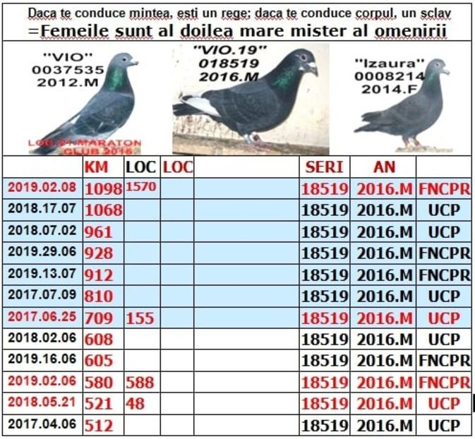 2016.18519=2019.an VVIO 19+ - SOSIRI FOND MARATON 2019