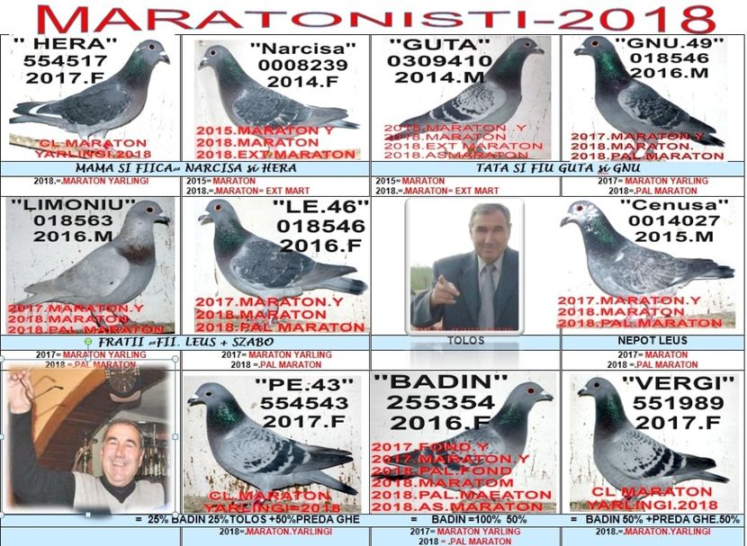 MA 2018= - SOSIRI FOND MARATON 2019