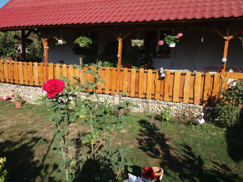  - toamna 2019