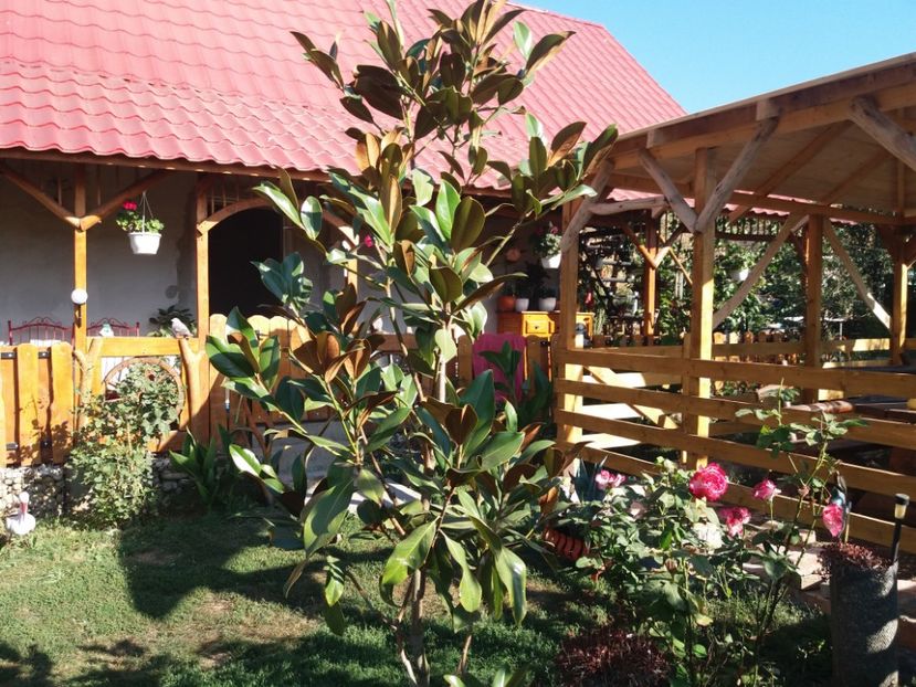  - toamna 2019