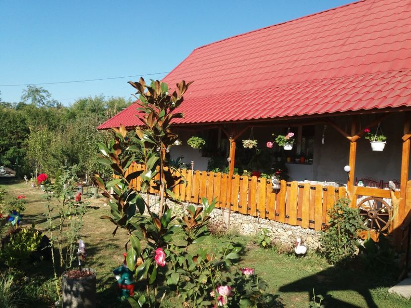  - toamna 2019