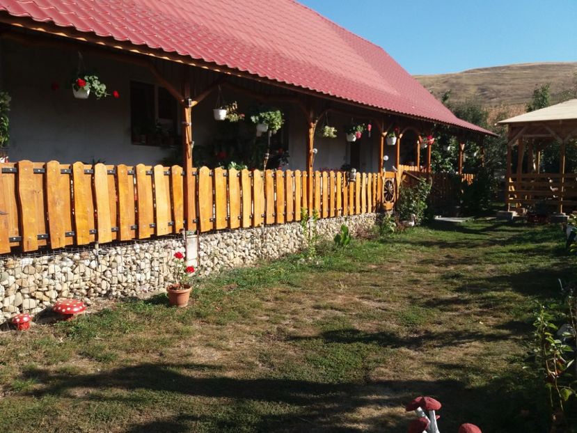  - toamna 2019