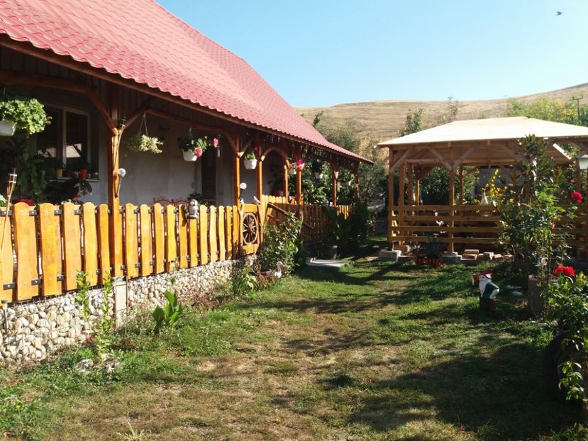  - toamna 2019