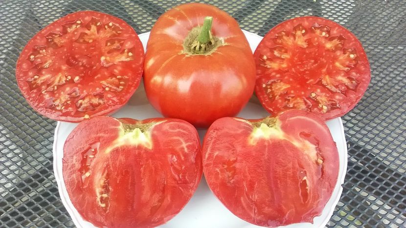  - TOMATE 2019 ALBUM 14