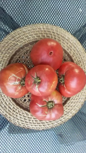  - TOMATE 2019 ALBUM 14