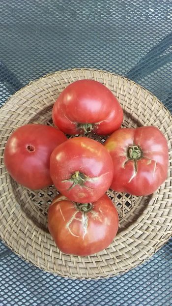  - TOMATE 2019 ALBUM 14