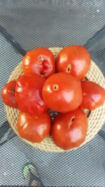  - TOMATE 2019 ALBUM 14