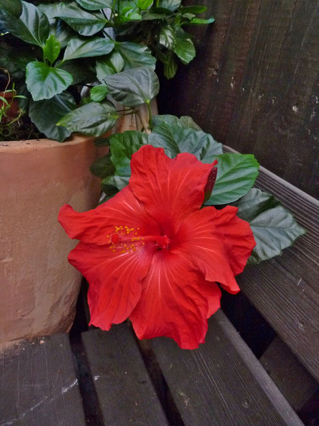  - 2019 - 03 - Toamna