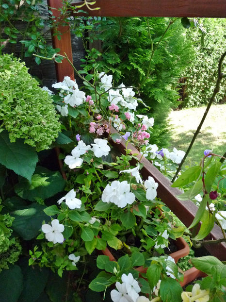  - 2019 - 03 - Toamna