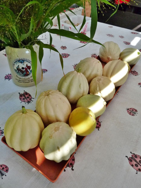  - 2019 - 03 - Toamna