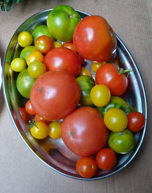 Varietate - 2019 - 03 - Toamna