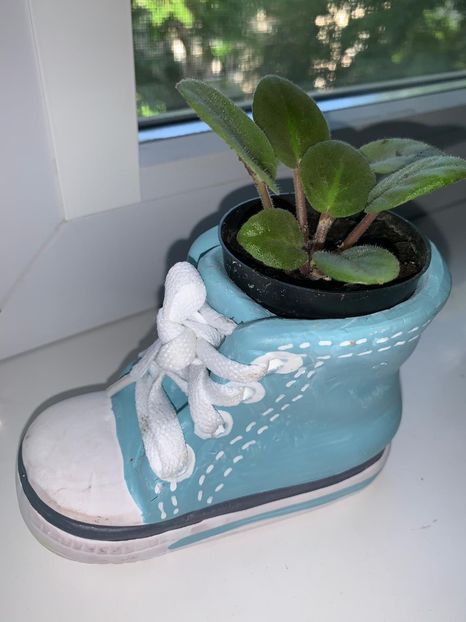 3627FF43-0D60-4037-9569-3FB51F07E752 - FLORILE MELE 2019