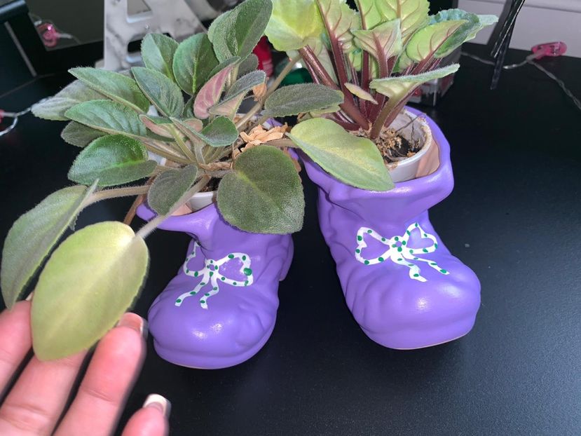 77DBACDC-AB47-4722-A379-91382F385443 - FLORILE MELE 2019