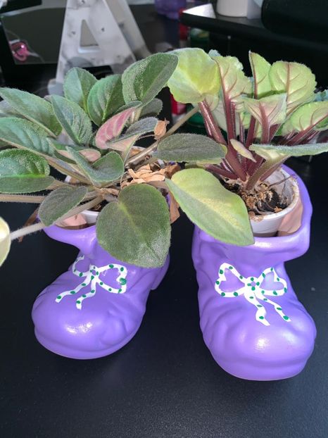 82EF1105-AABB-4D8E-B56B-4B179BAA3B79 - FLORILE MELE 2019