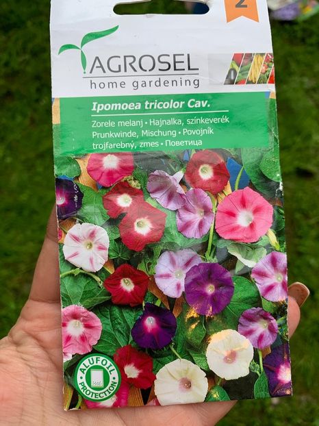A5CE5EB3-DC42-4BAF-A7B3-684951639693 - FLORILE MELE 2019
