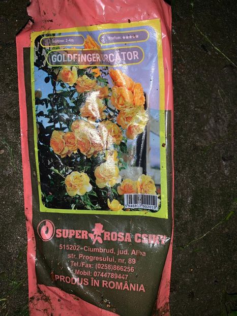 DC58CFE4-3FF0-4691-8E1C-3C775324A848 - FLORILE MELE 2019