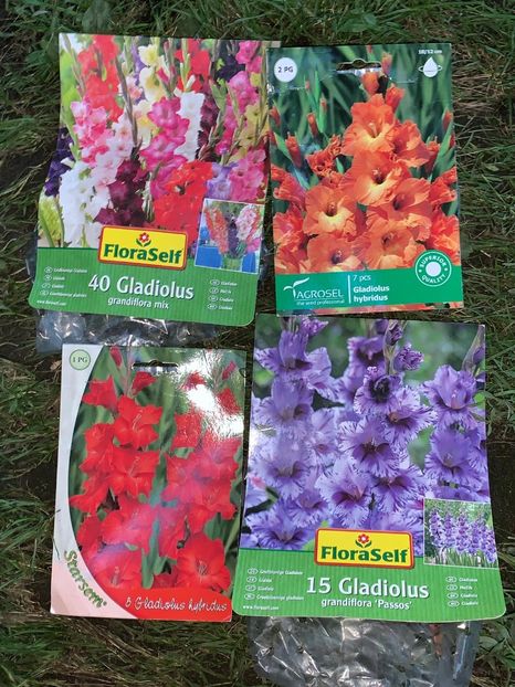 D2942088-4709-4D44-8C92-1E5F6476F697 - FLORILE MELE 2019
