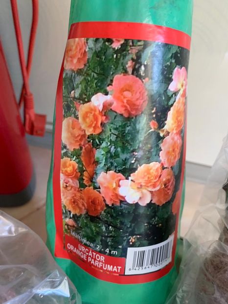 55775127-19FA-4BC0-9C68-9602B510F550 - FLORILE MELE 2019