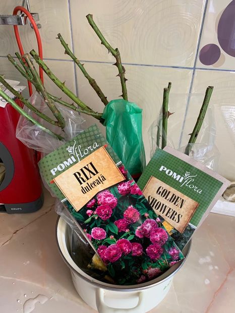 027009FD-26B0-4401-A911-4A86FE404AEB - FLORILE MELE 2019