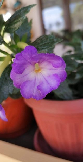  - Crystalynn- Gabi Gligor