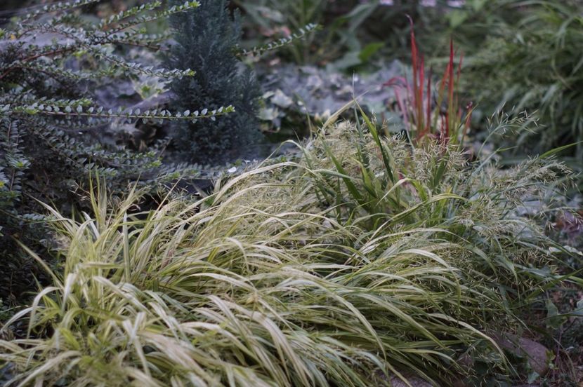  - Septembrie 2019- septembrie 2020