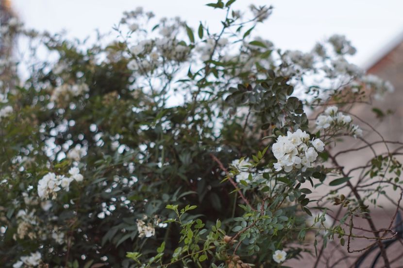  - Septembrie 2019- septembrie 2020