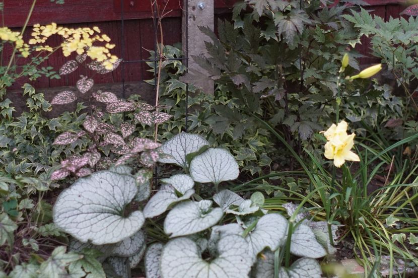  - Septembrie 2019- septembrie 2020