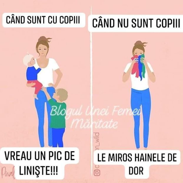  - Poze 5