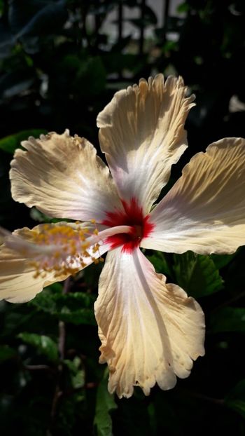  - Talmeș balmeș 2019