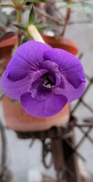  - Illya Melnik-deea01