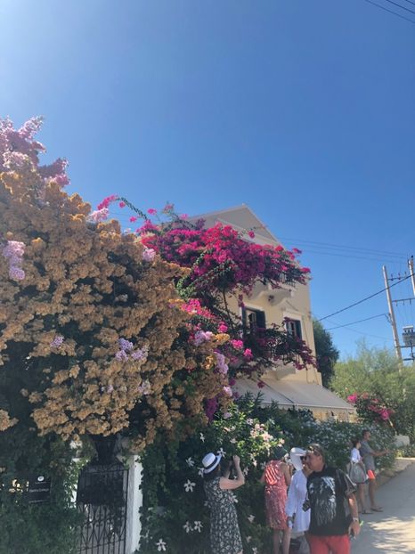 42BE7A11-971C-4D24-87CF-69B928817F06 - Lefkada 2019- flori
