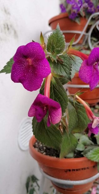  - Jennifer Good-deea01