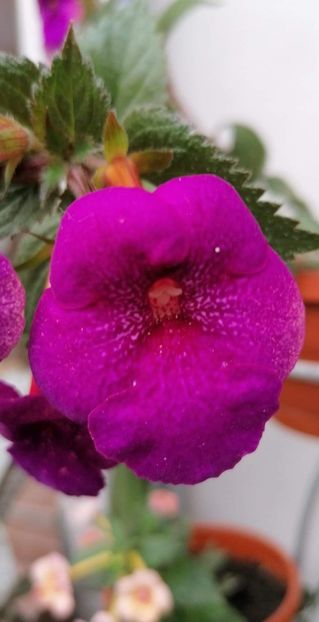  - Jennifer Good-deea01