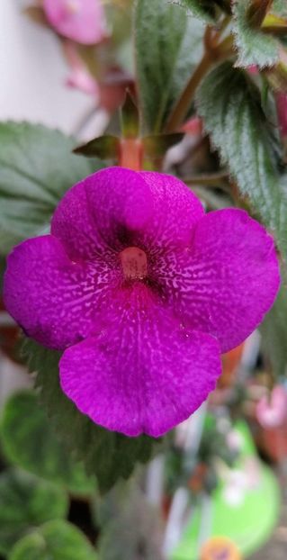  - Jennifer Good-deea01