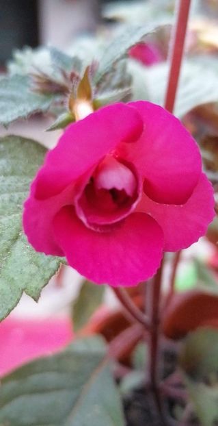  - Hard to Get-nataliadinca