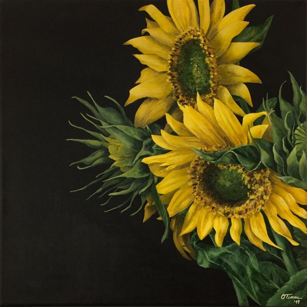 “Floarea-soarelui”, acrilice pe panza neagra, 40x40 cm - PICTURI