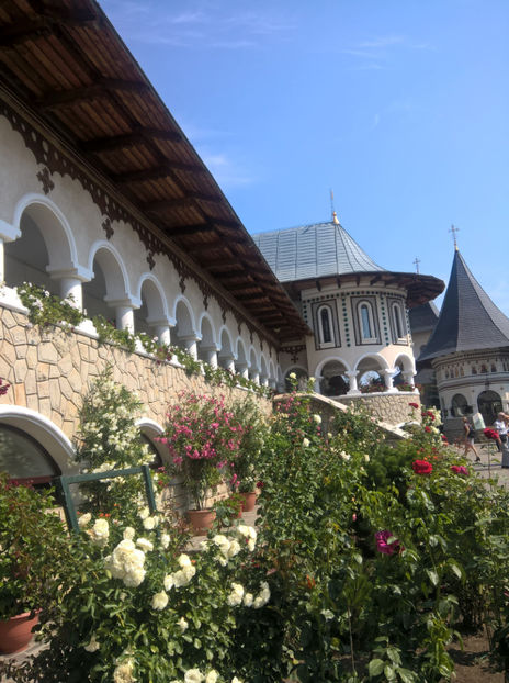  - Manastirea Camarzani