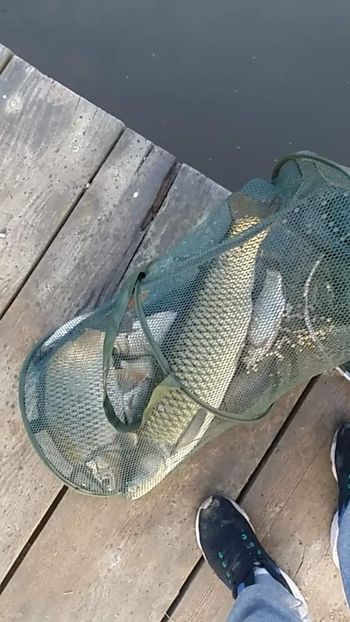 received_791042337977271 - LA  PESCUIT