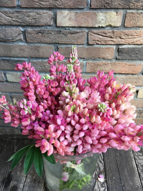 Lupini - Trandafiri Buchete
