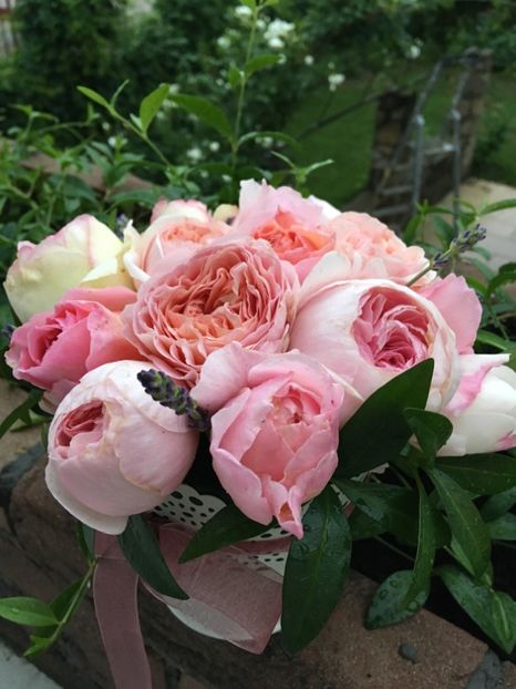  - Trandafiri Buchete