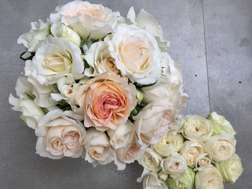  - Trandafiri Buchete