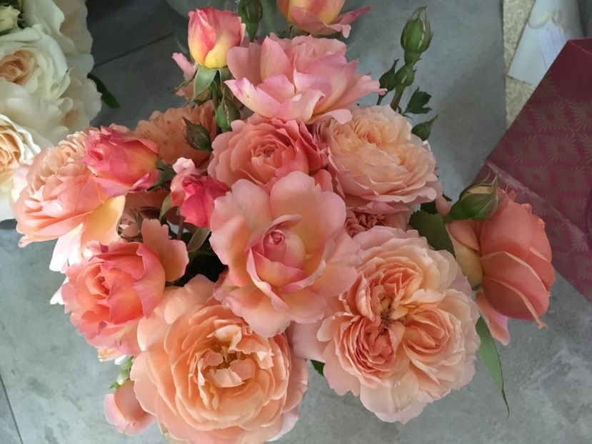 Elisabeth Stuart - Trandafiri Buchete