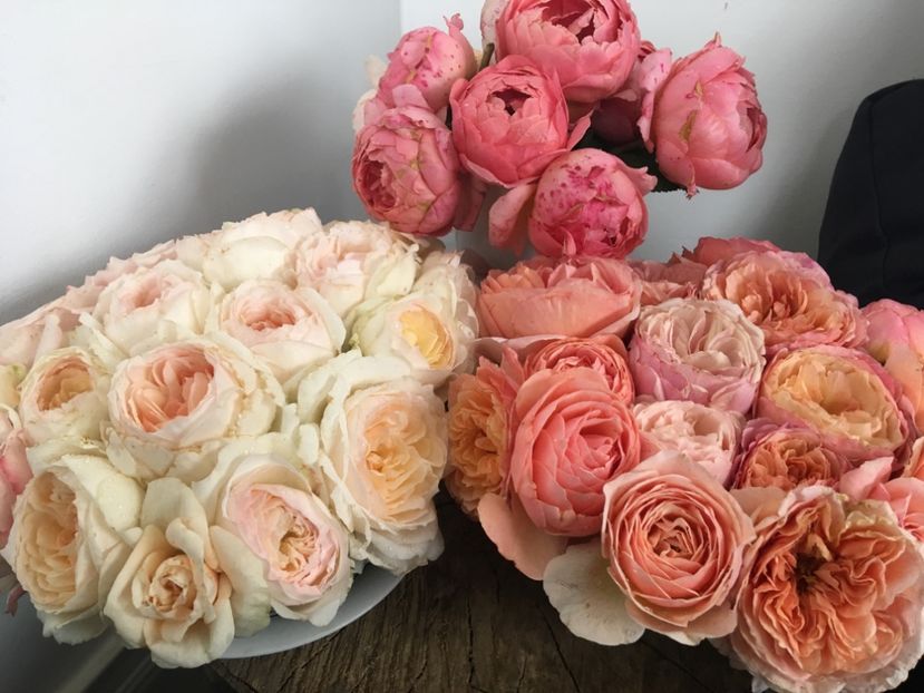 B995CE8D-FA4A-450F-A0D1-47EFFB6C77F9 - Trandafiri Buchete